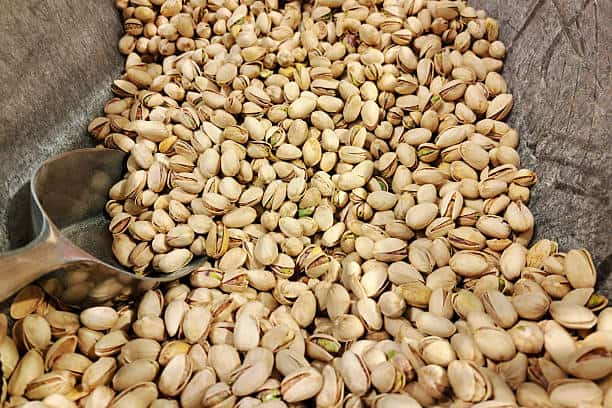تصویر 2 از قیمت خرید پسته کله قوچی خوش طعم عمده به صرفه و ارزان